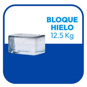 Bloque de Hielo 12.5Kg